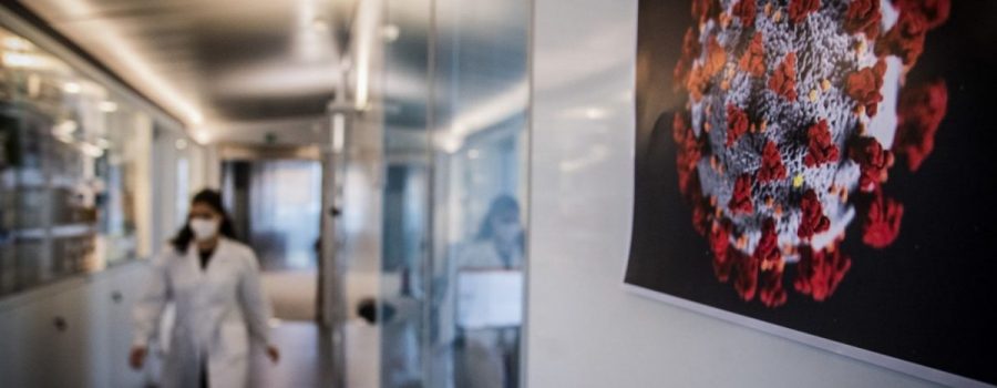Il Mondo del Lavoro