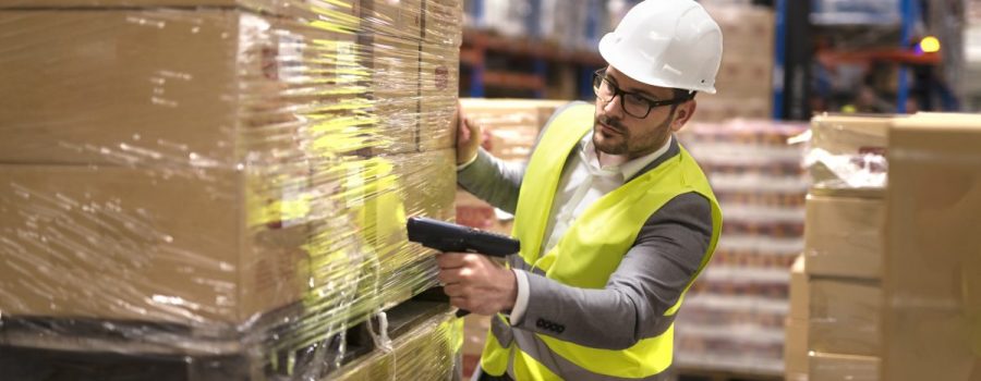 Il Mondo del Lavoro