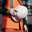 Il Mondo del Lavoro