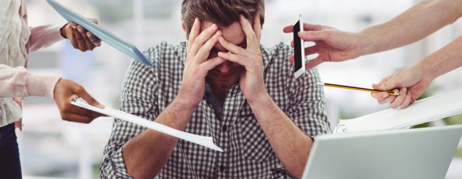 Il Mondo del Lavoro