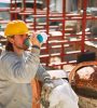 Il Mondo del Lavoro