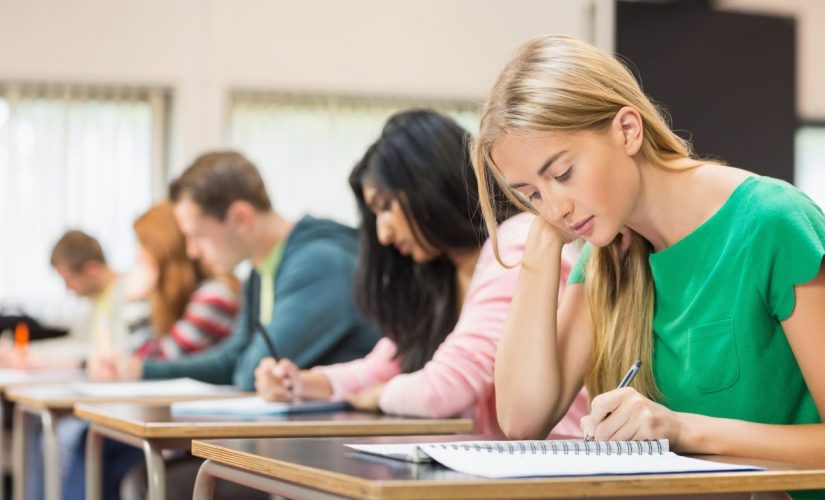 Il Mondo del Lavoro