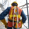 Il Mondo del Lavoro