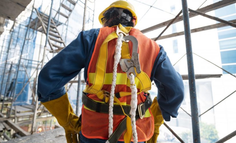 Il Mondo del Lavoro