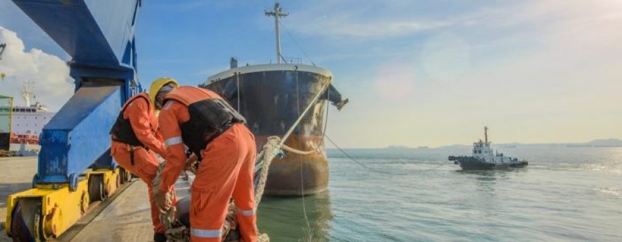Il Mondo del Lavoro